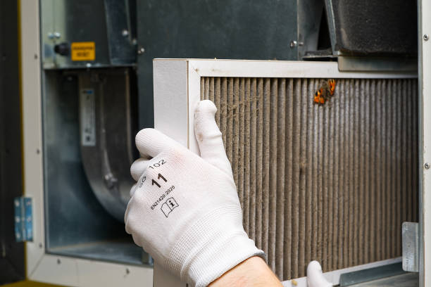 Best Commercial Air Duct Cleaning  in Springfield, MN