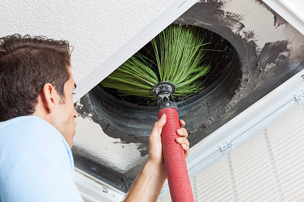 Best Air Duct Cleaning Company Near Me  in Springfield, MN